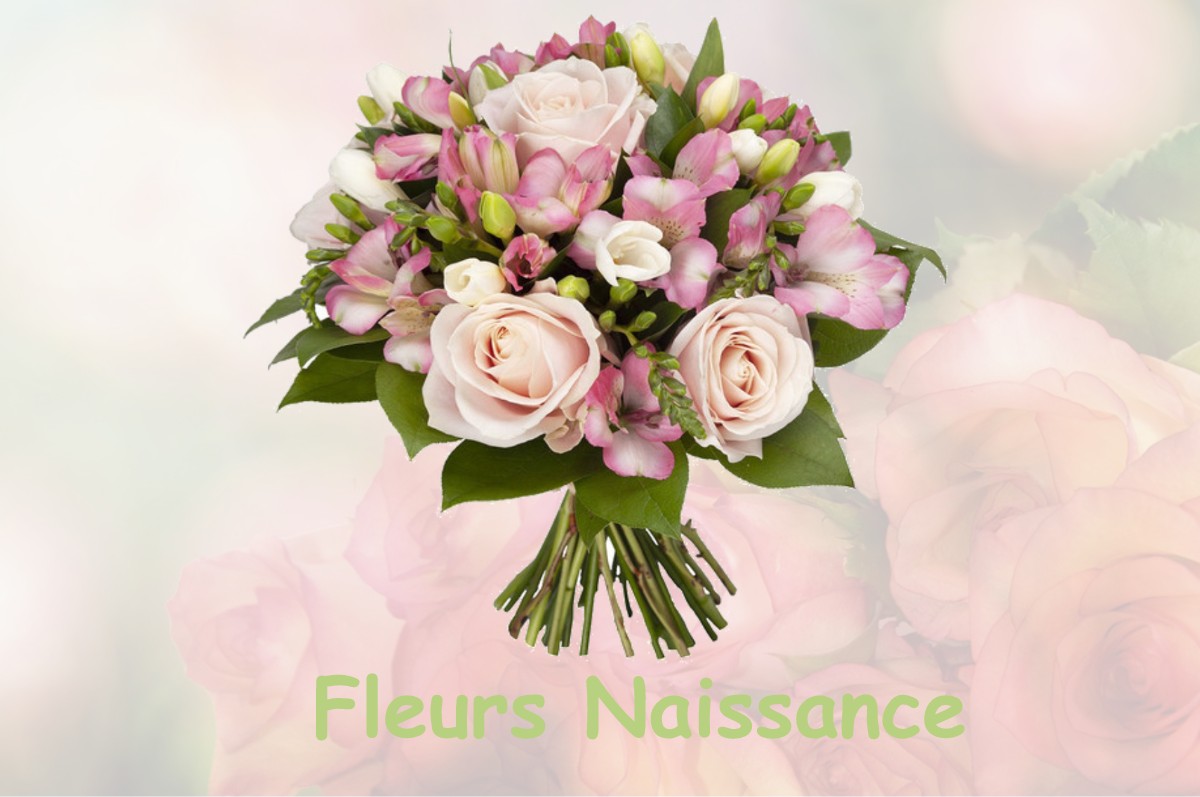 fleurs naissance FORGUES