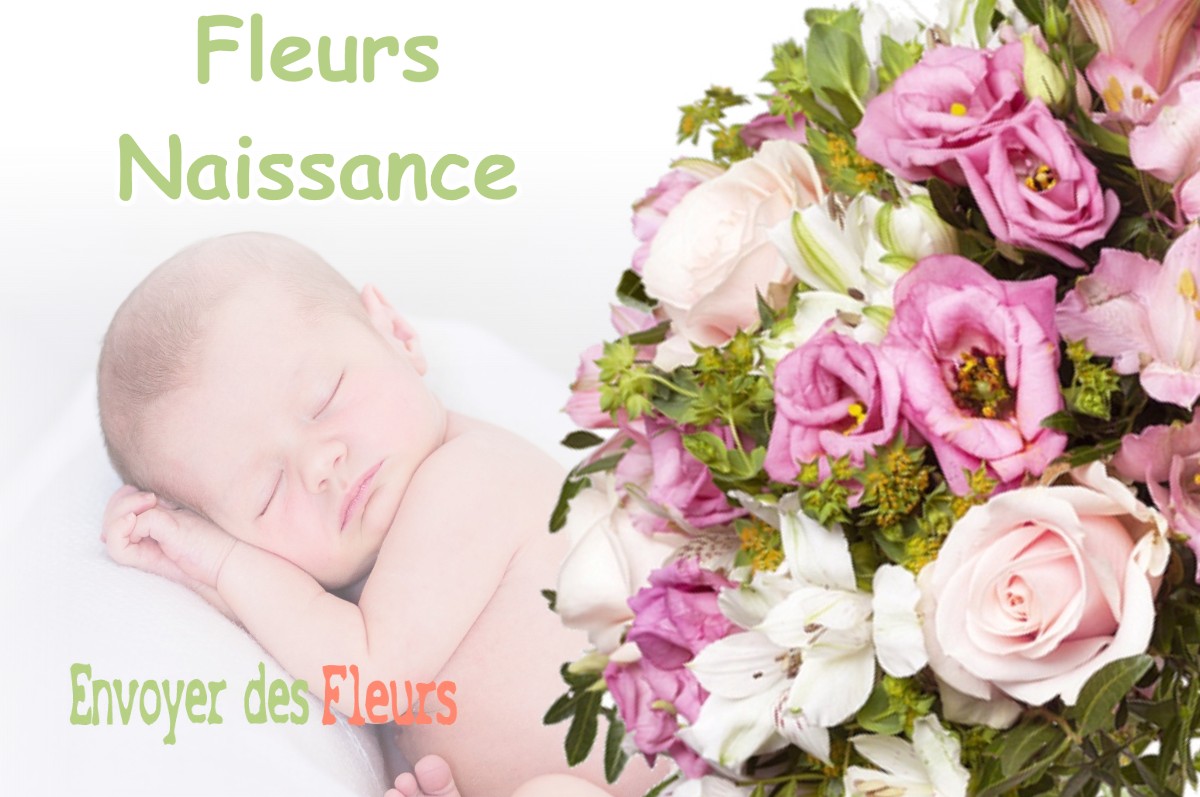 lIVRAISON FLEURS NAISSANCE à FORGUES